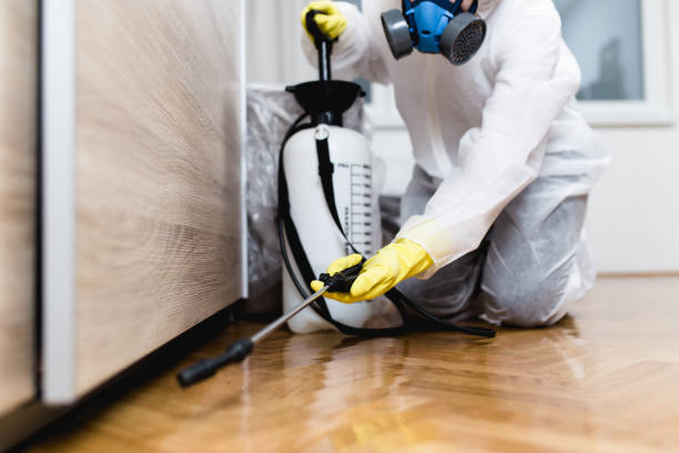 Best Termite Control Services  in Trenton, TN