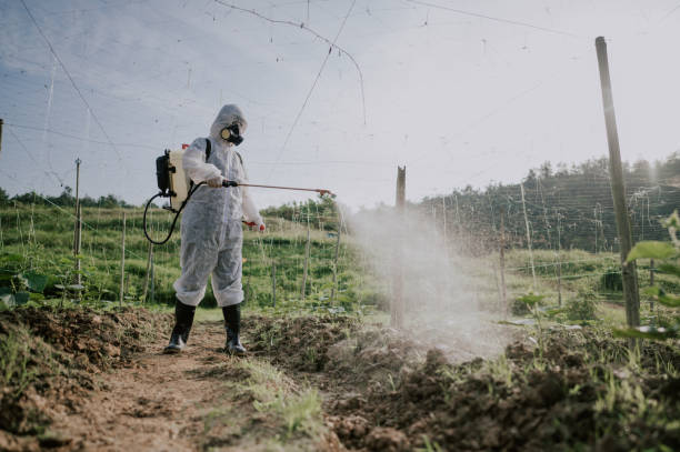 Best Pest Removal Services  in Trenton, TN