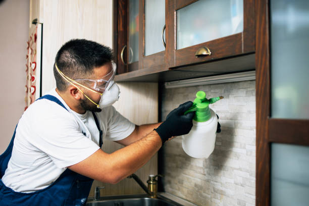 Best Best Pest Control Companies  in Trenton, TN