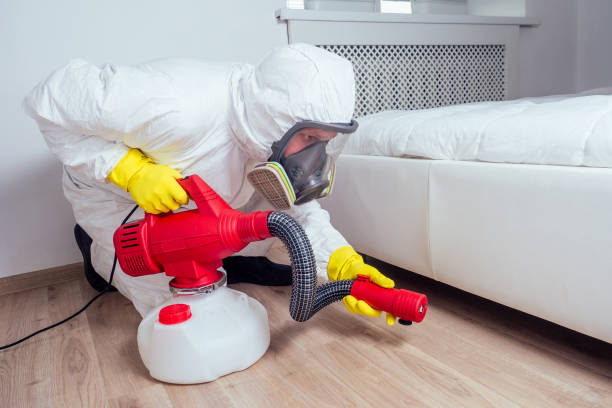 Flea Control Services in Trenton, TN