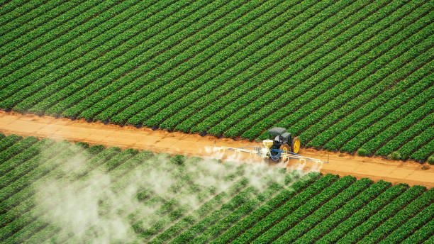 Best Affordable Exterminators  in Trenton, TN