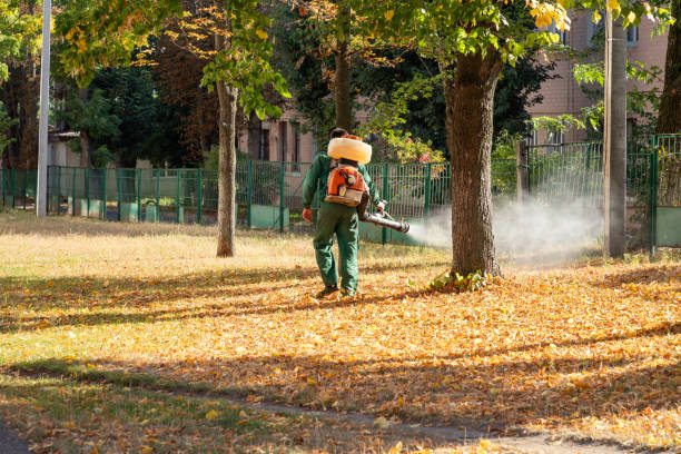 Best Wildlife Control Services  in Trenton, TN